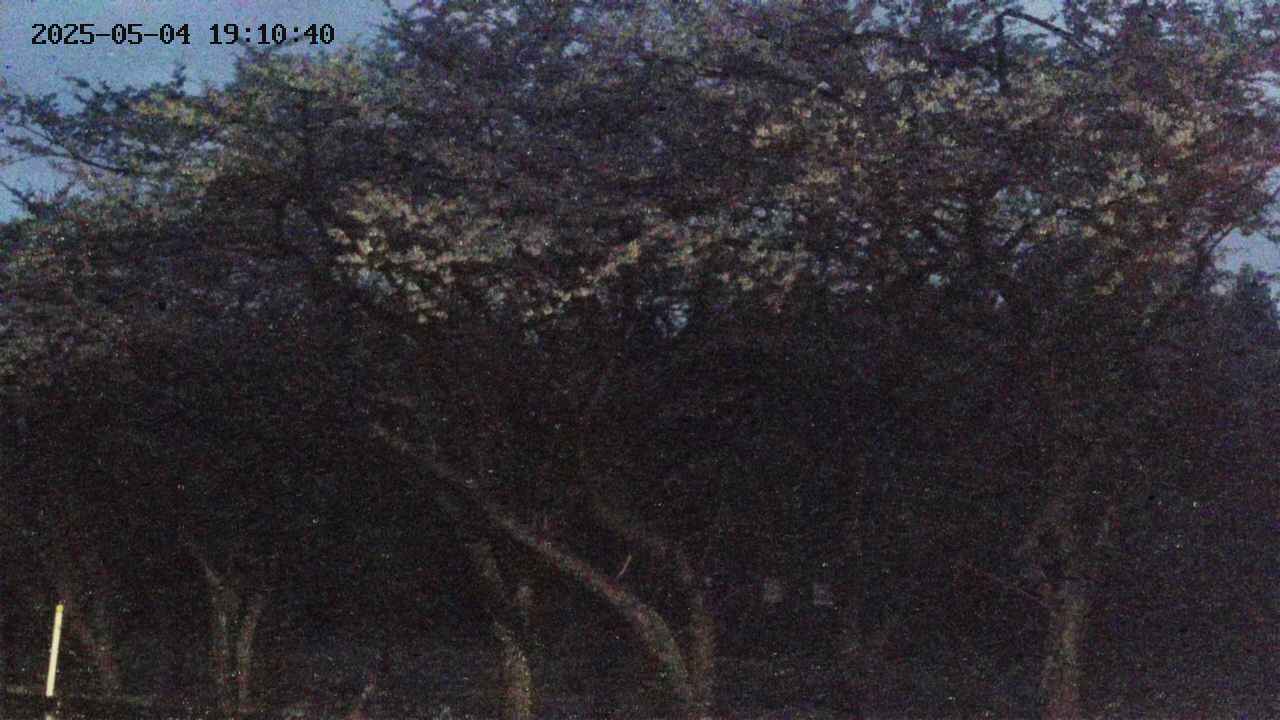 takano3-20250504191041.jpg