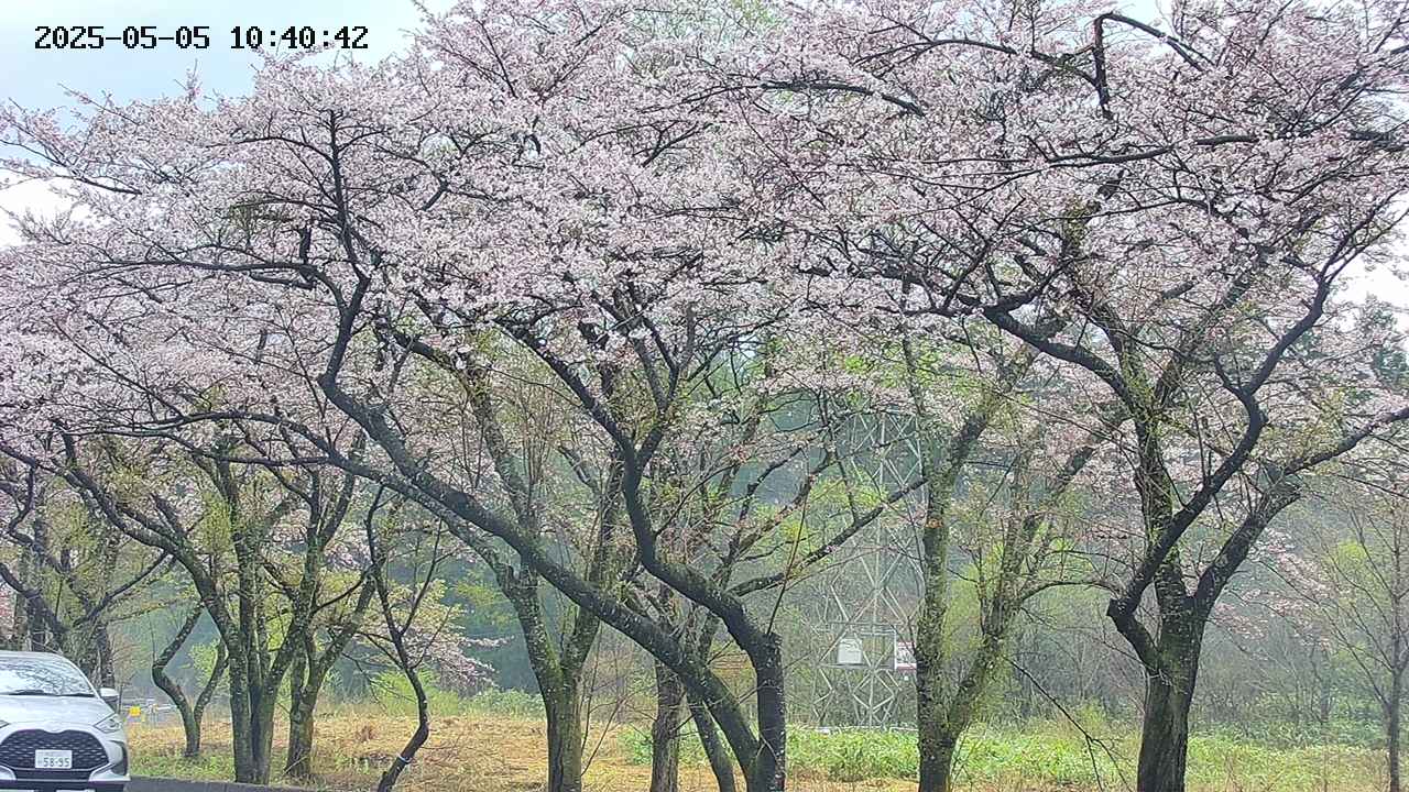 takano3-20250505104044.jpg