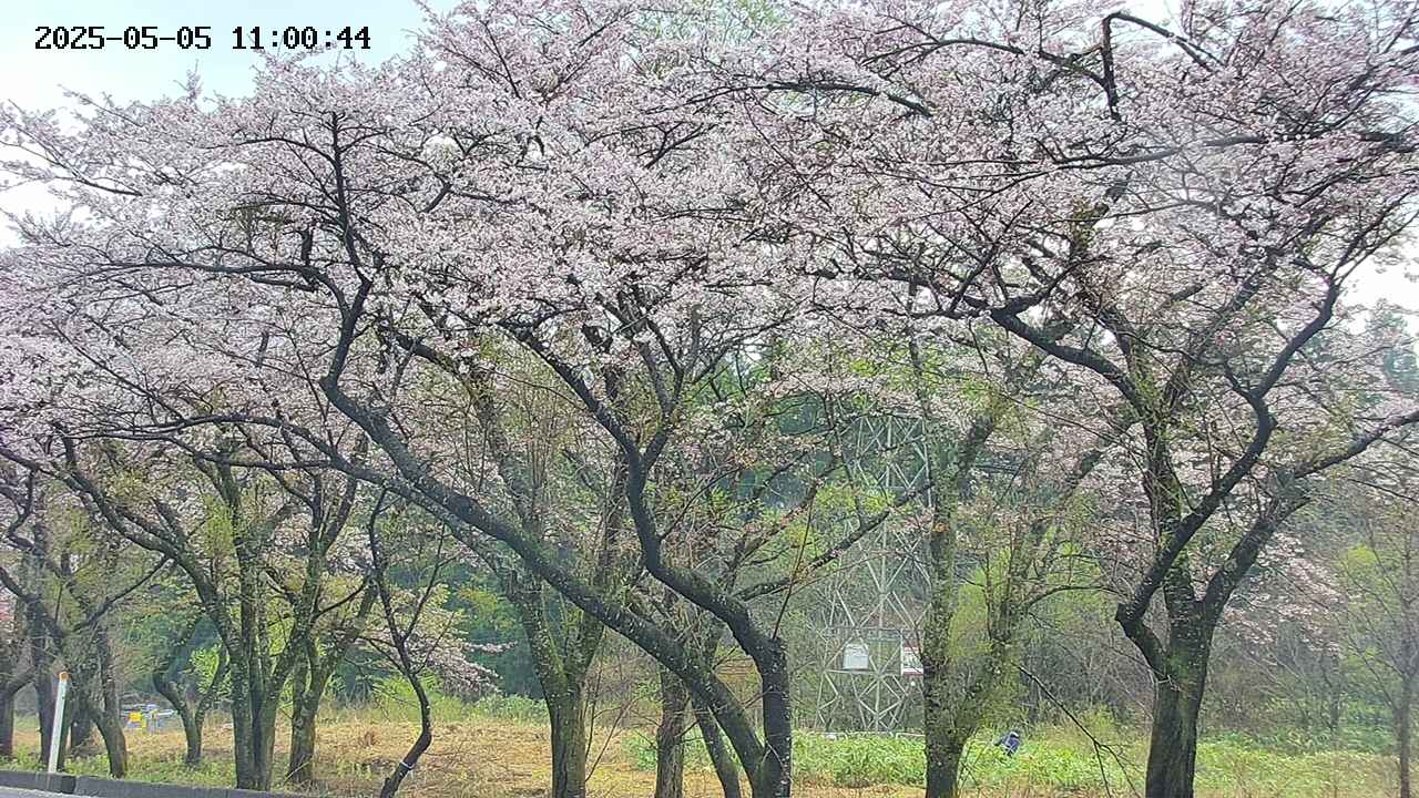 takano3-20250505110045.jpg