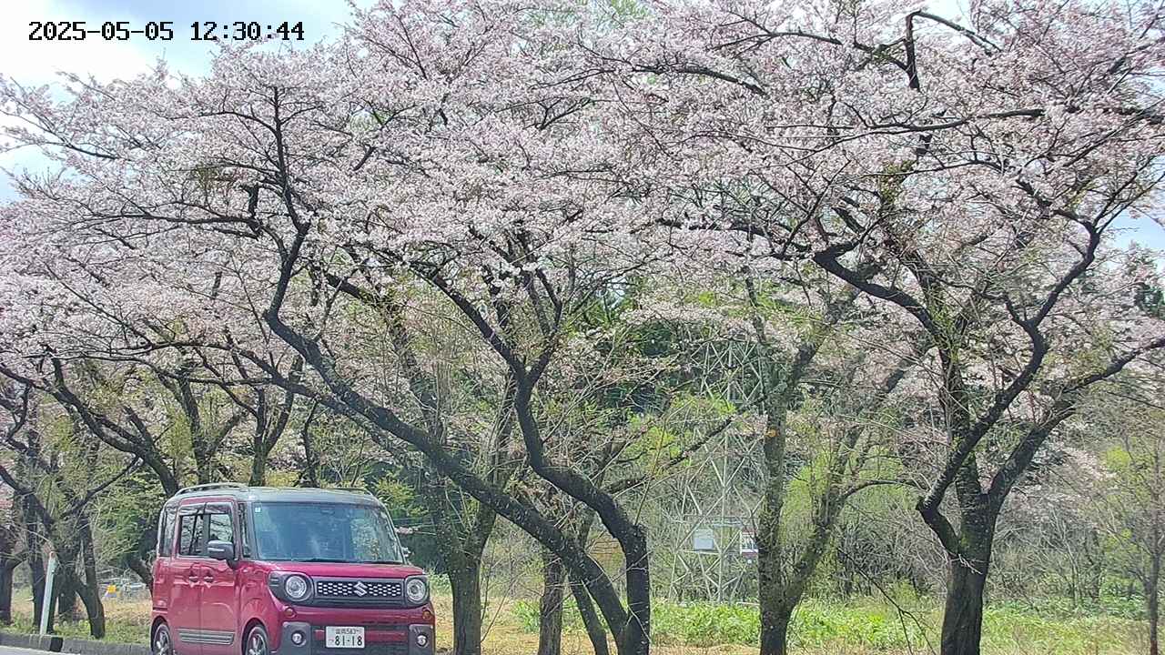 takano3-20250505123045.jpg
