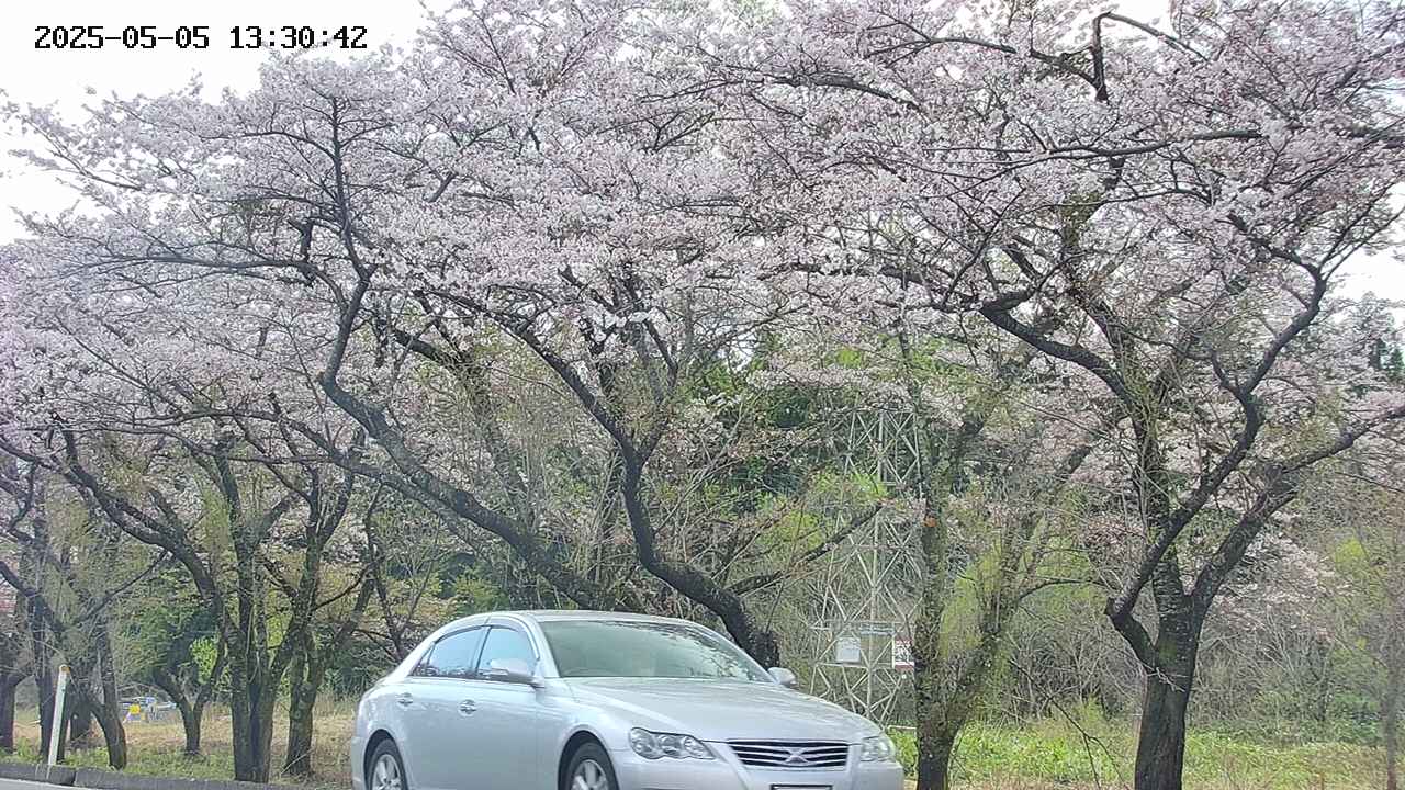 takano3-20250505133043.jpg