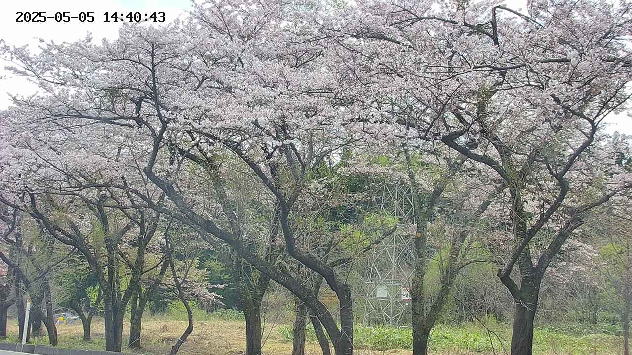 takano3-20250505144044.jpg
