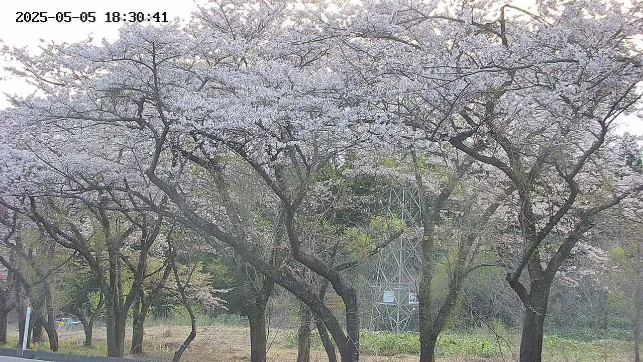 takano3-20250505183042.jpg