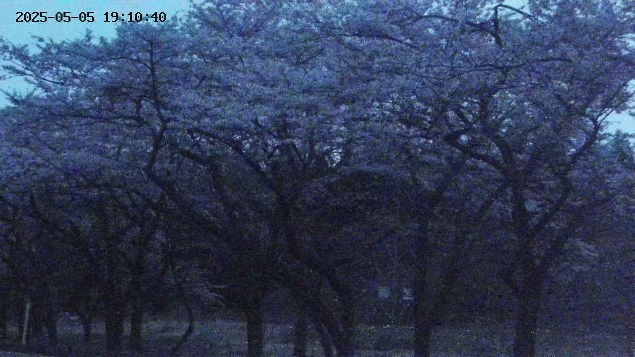 takano3-20250505191041.jpg