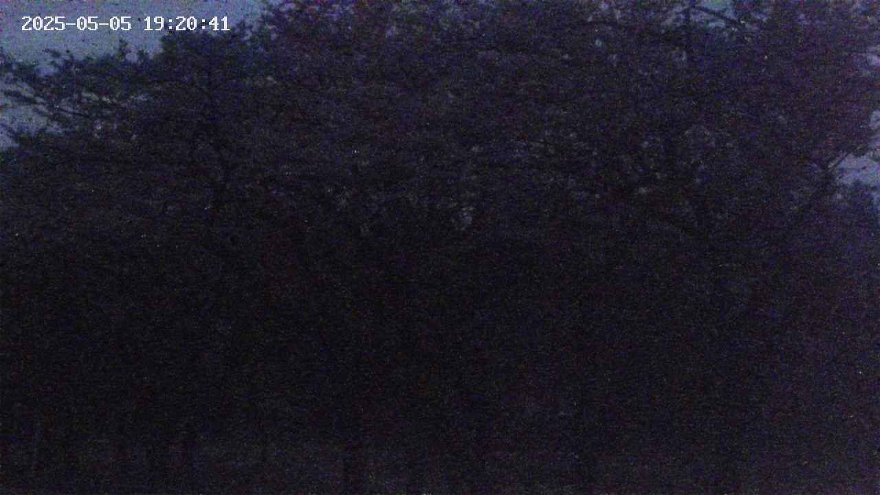 takano3-20250505192042.jpg