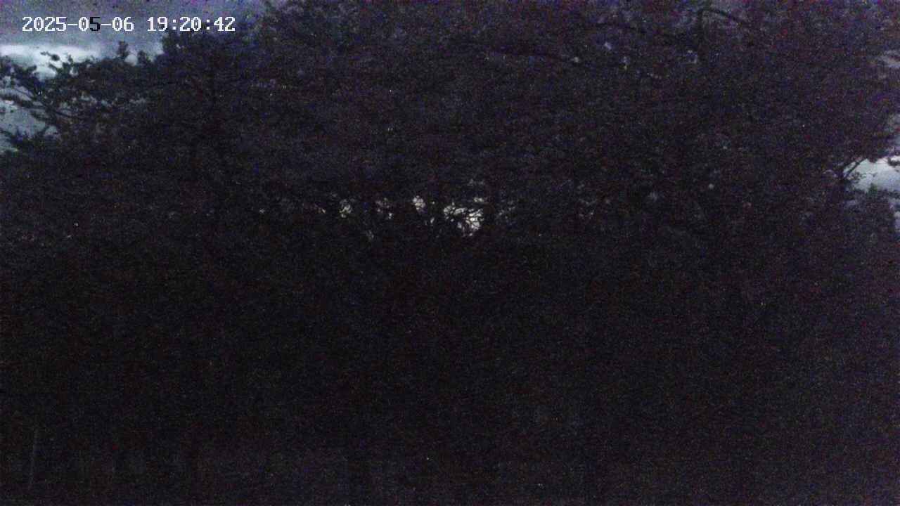 takano3-20250506192043.jpg