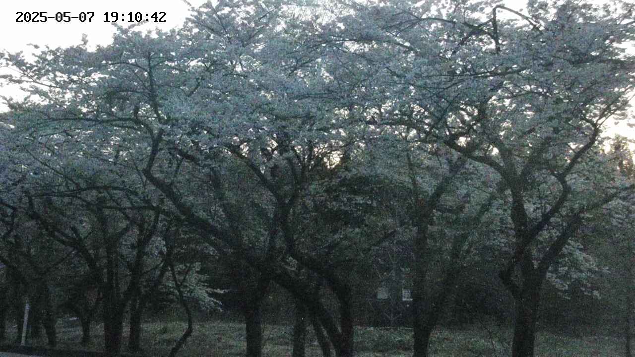 takano3-20250507191043.jpg