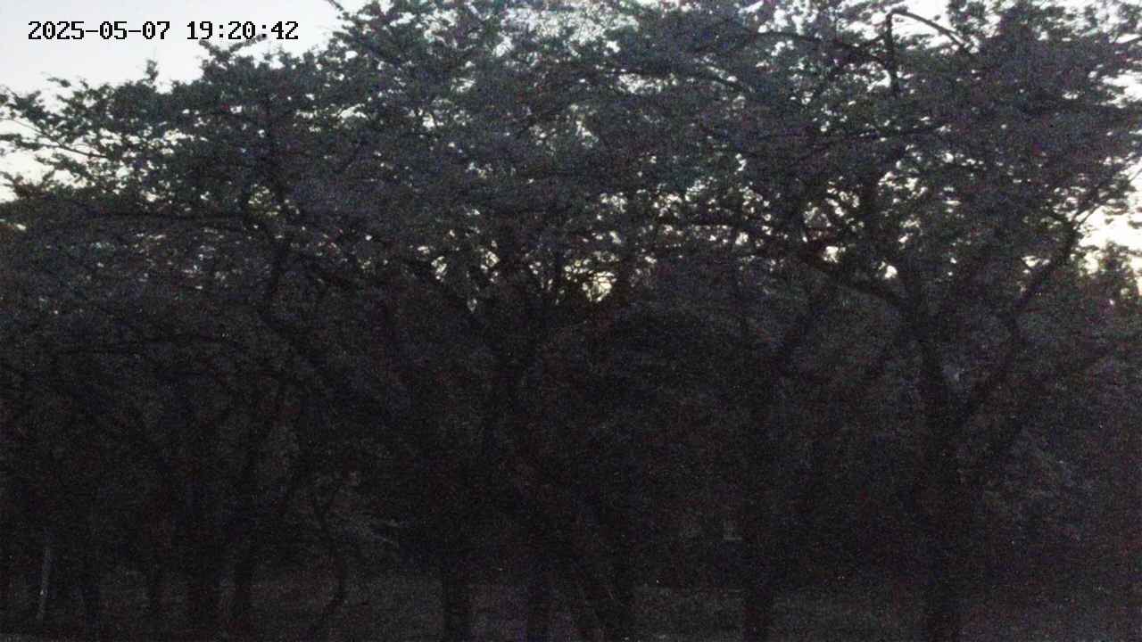 takano3-20250507192043.jpg
