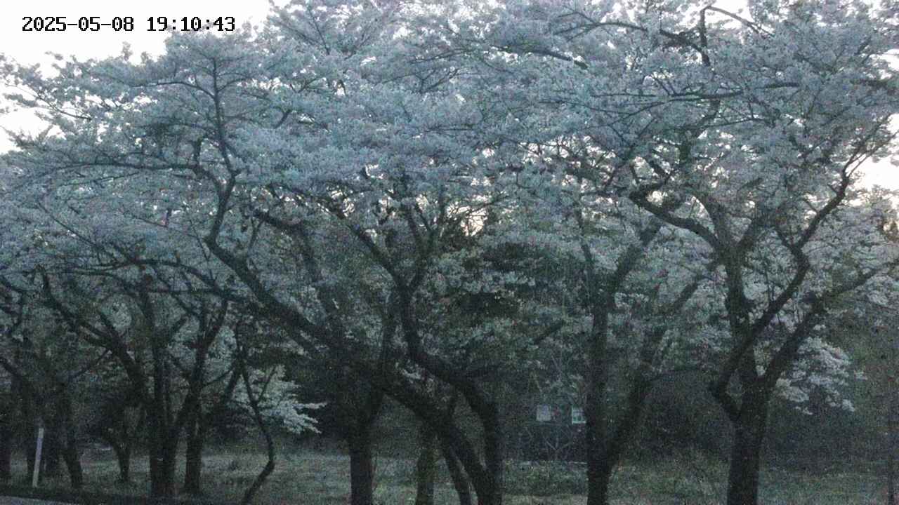 takano3-20250508191044.jpg