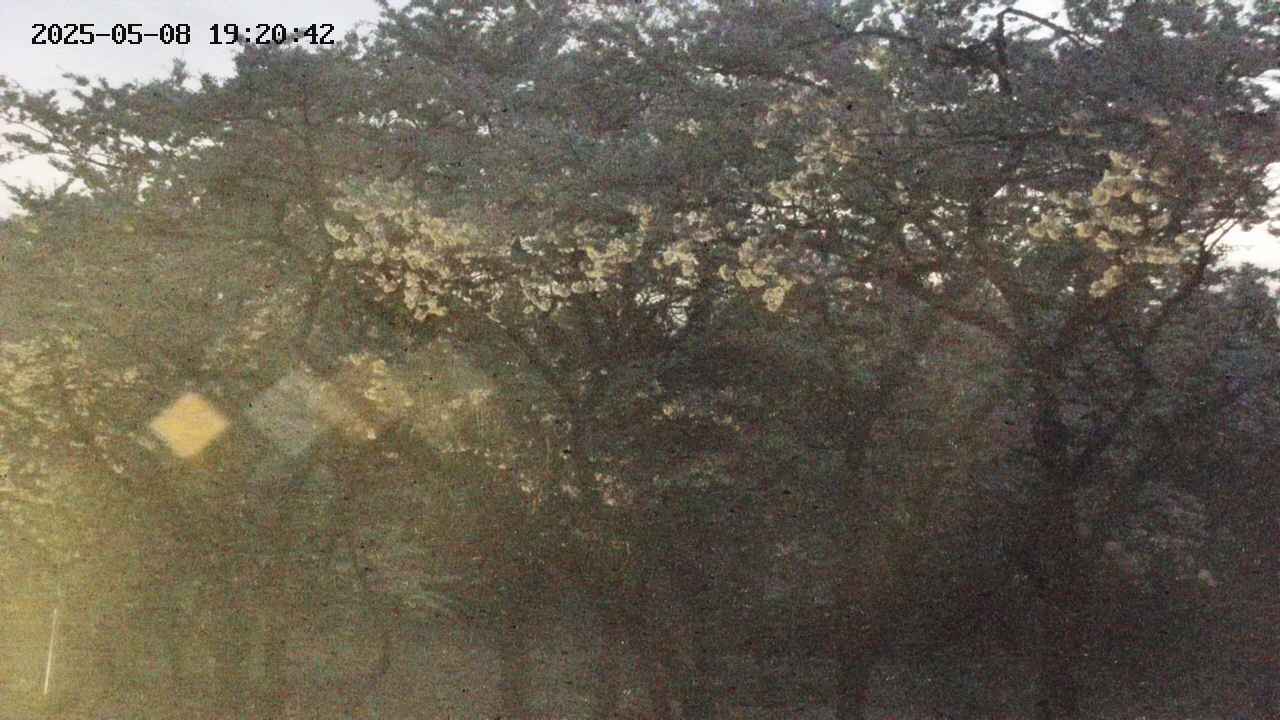 takano3-20250508192043.jpg