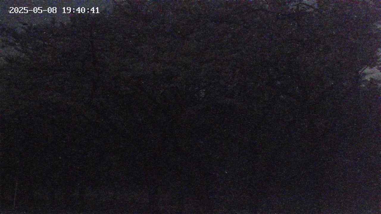 takano3-20250508194042.jpg