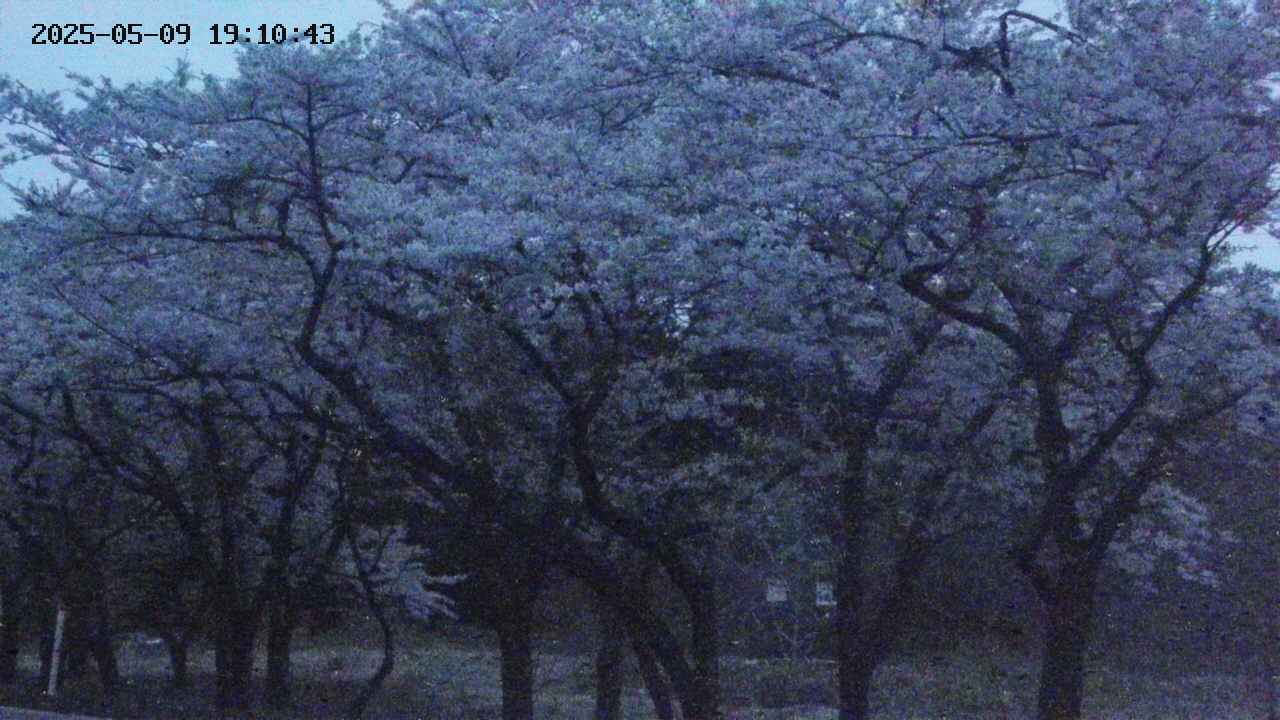 takano3-20250509191044.jpg