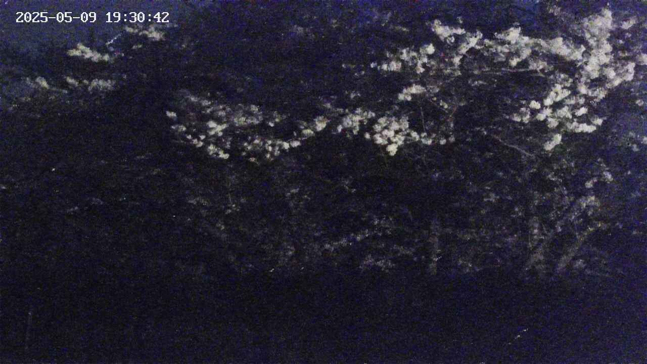 takano3-20250509193043.jpg