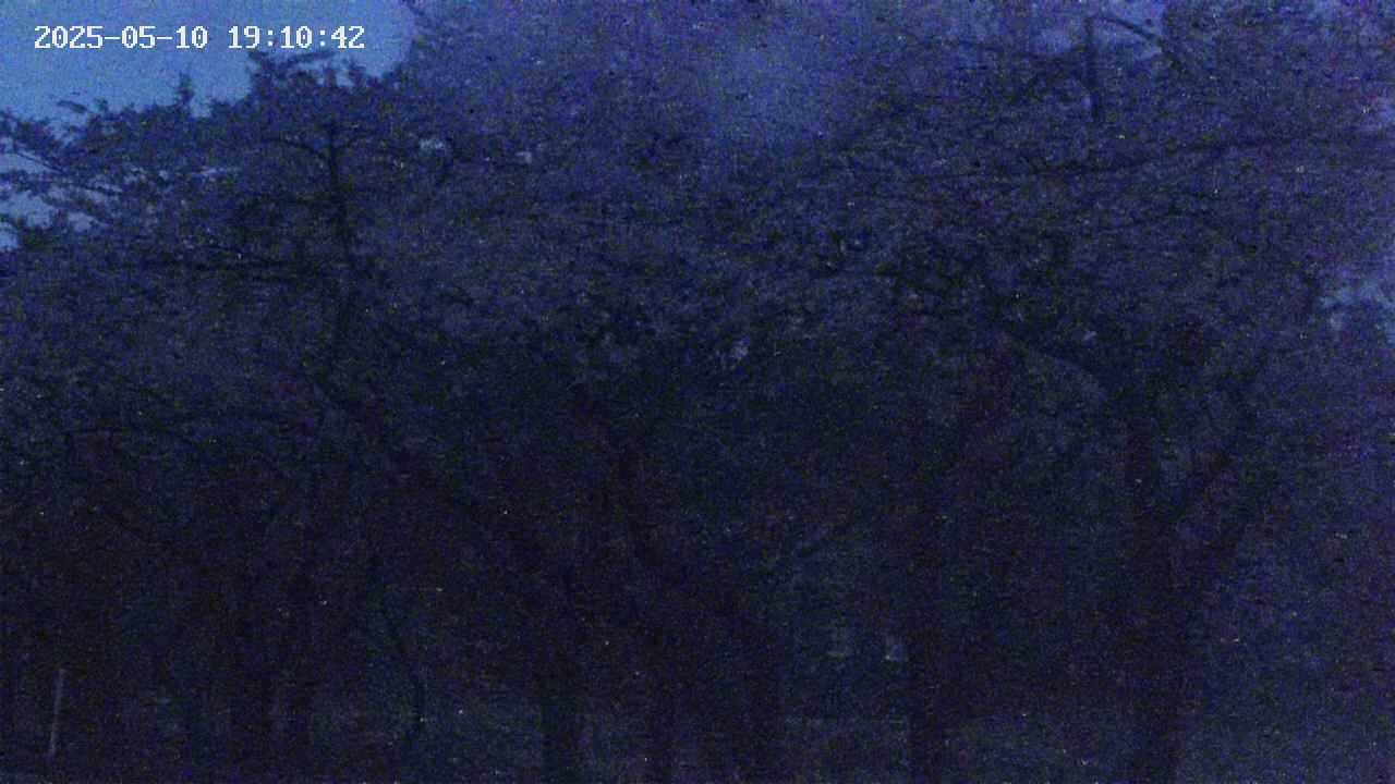 takano3-20250510191043.jpg
