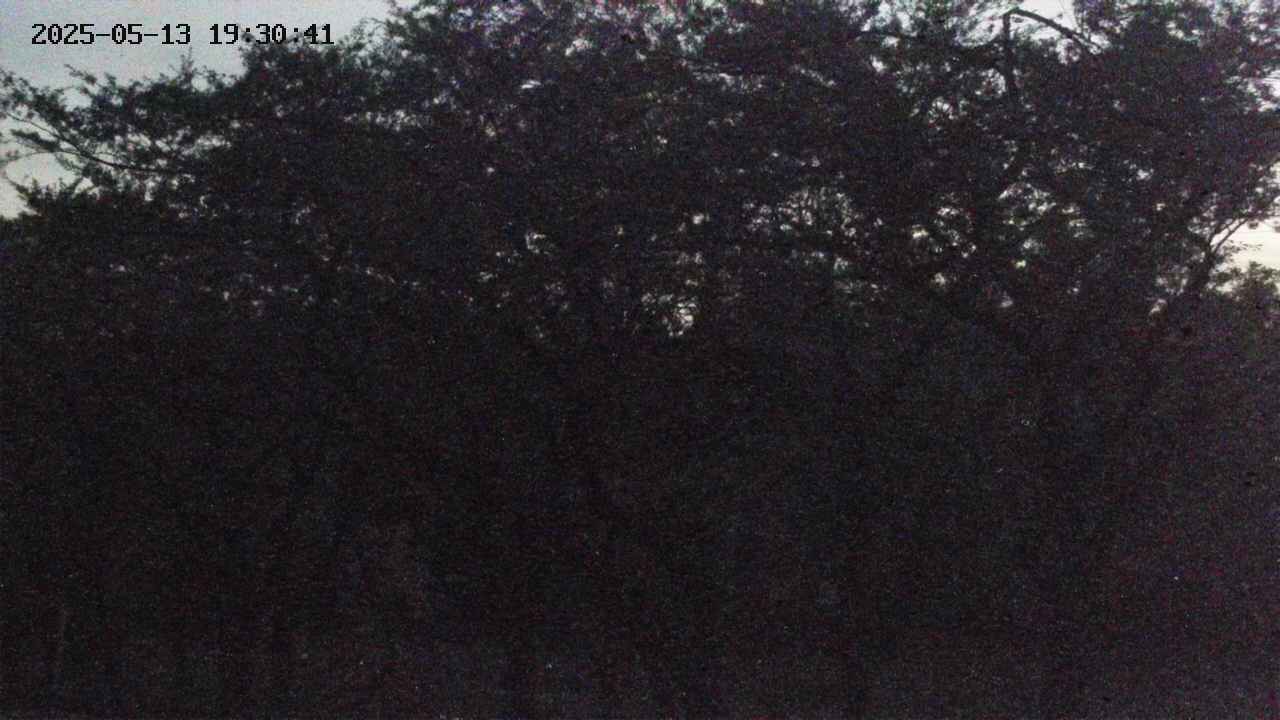 takano3-20250513193041.jpg