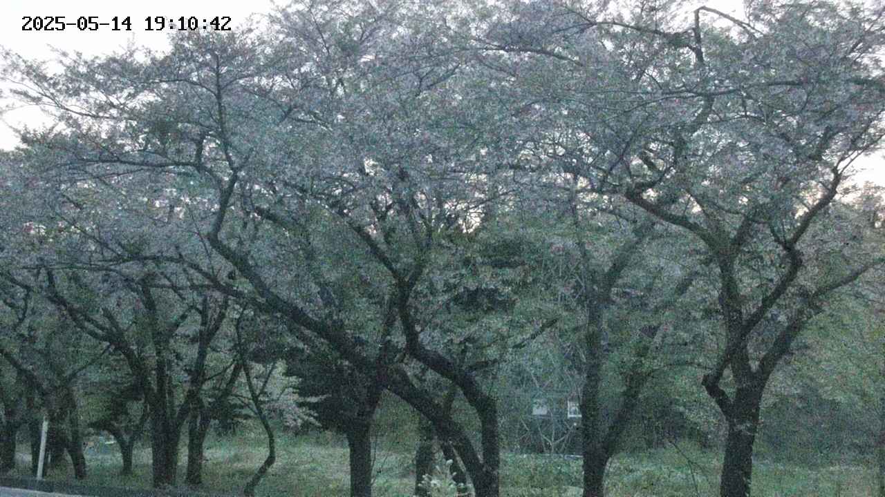 takano3-20250514191044.jpg
