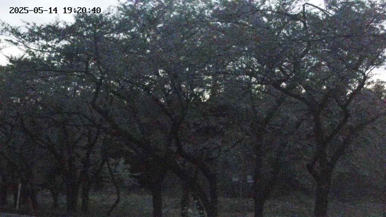 takano3-20250514192042.jpg