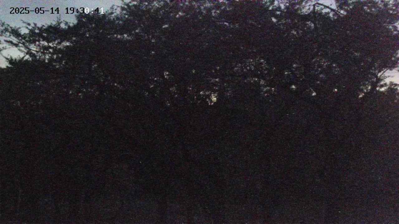 takano3-20250514193043.jpg