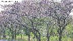 takano3-20250515051043.jpg