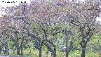 takano3-20250515151046.jpg