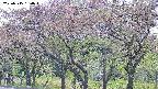 takano3-20250515160044.jpg