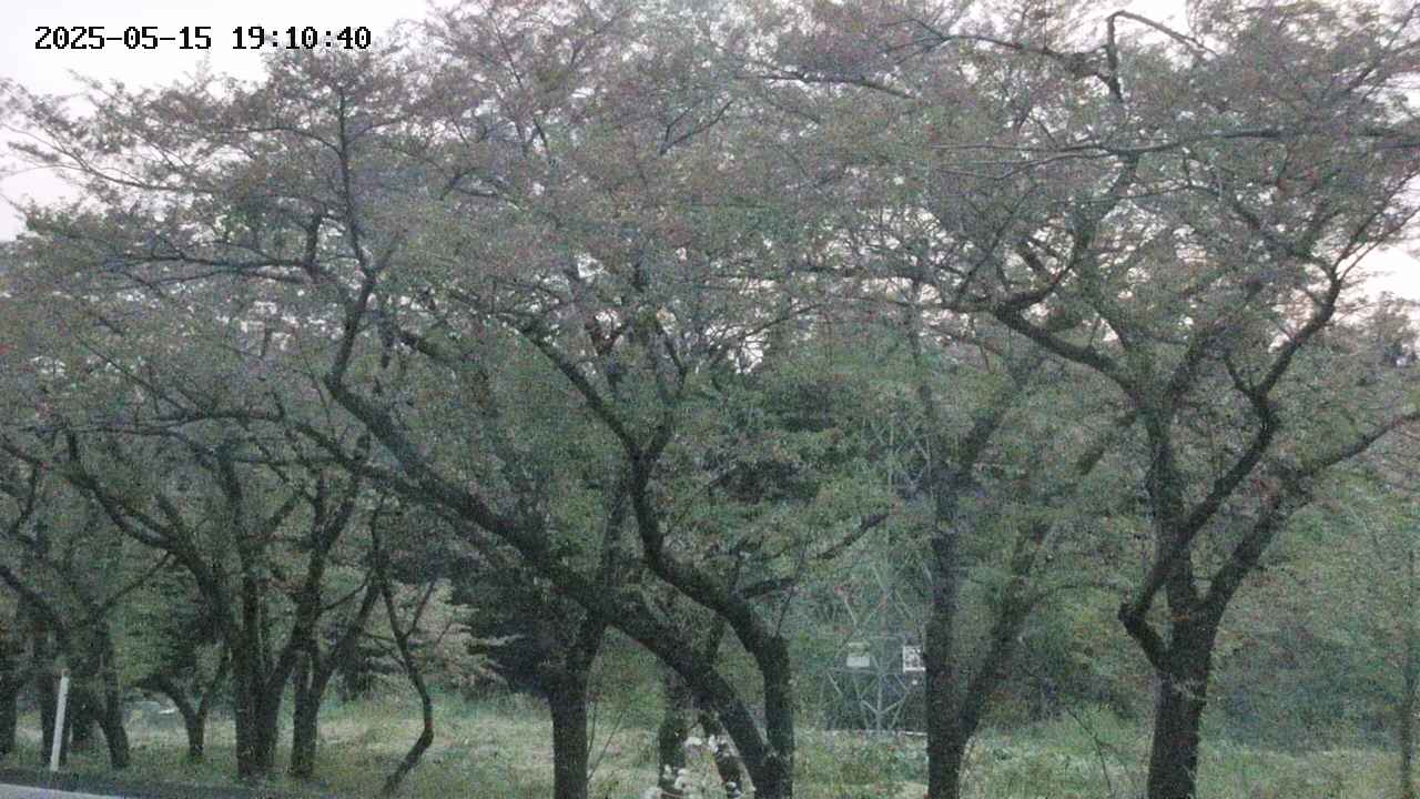 takano3-20250515191041.jpg
