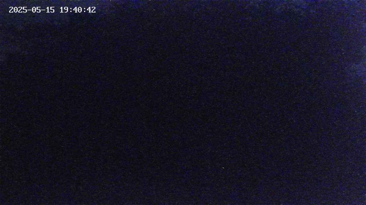takano3-20250515194043.jpg