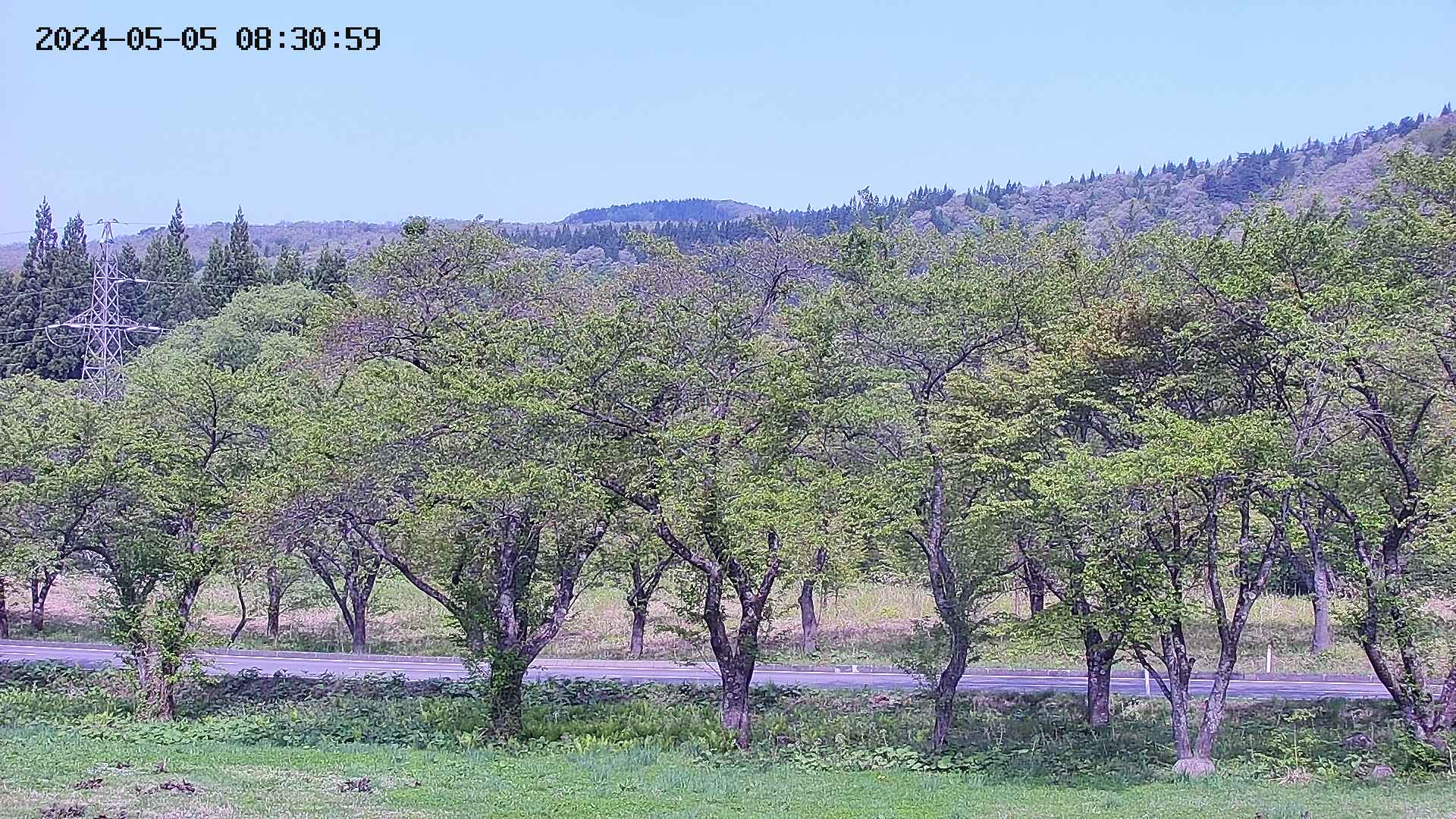 takano4-20240505083100.jpg
