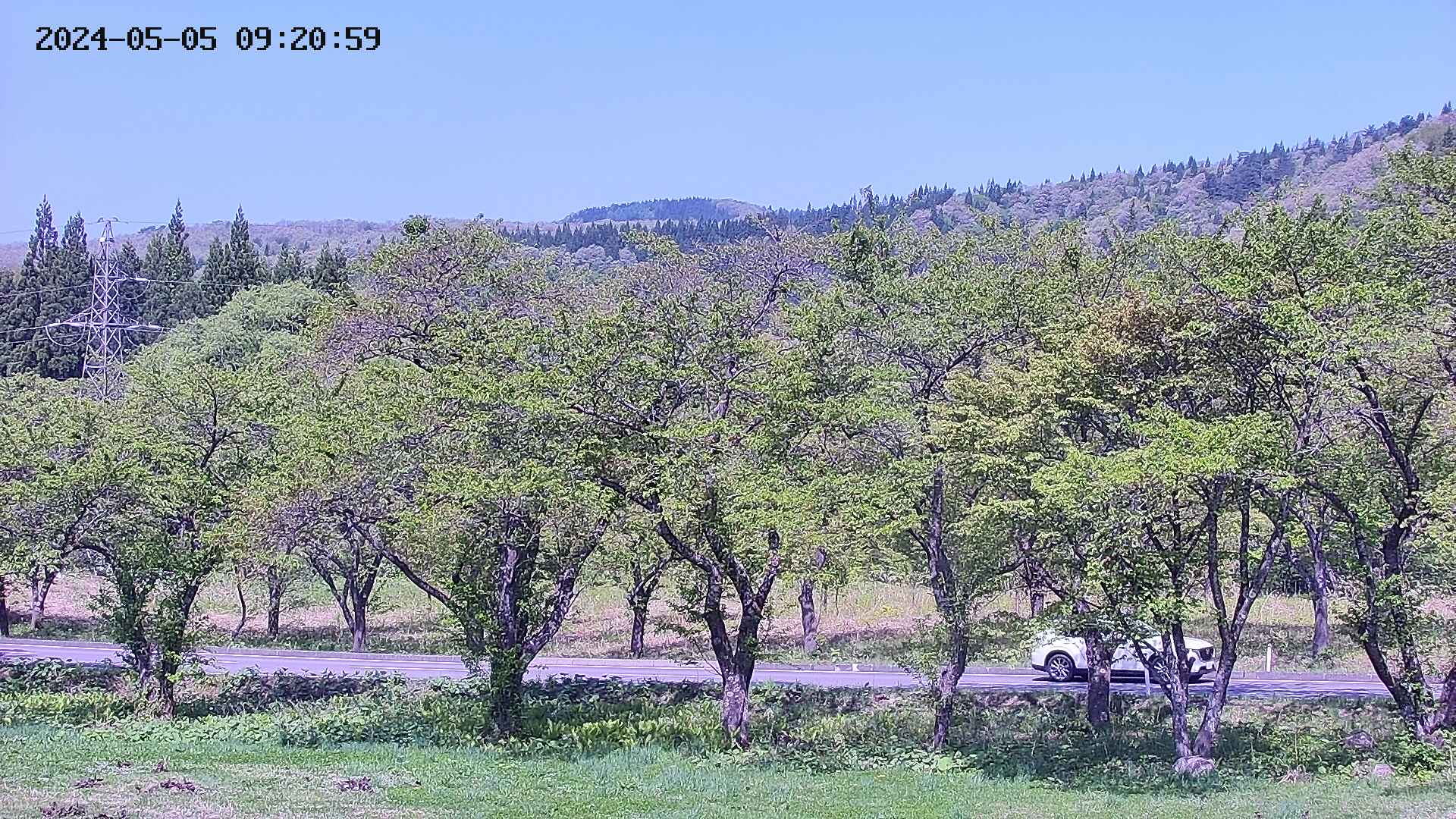takano4-20240505092101.jpg