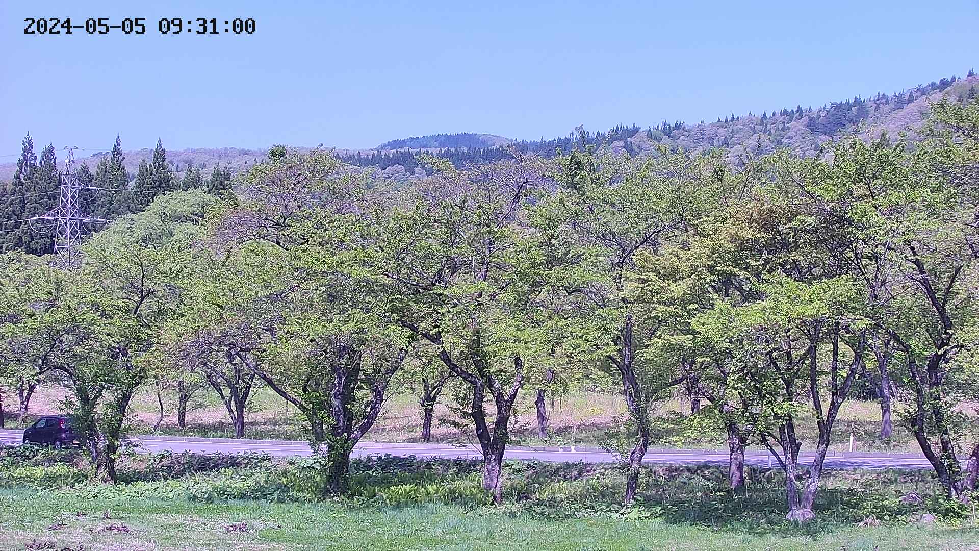 takano4-20240505093101.jpg