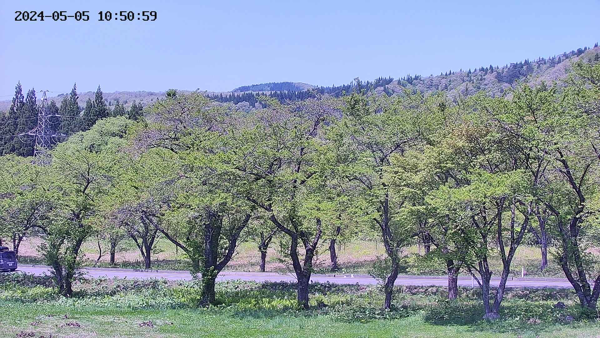 takano4-20240505105101.jpg