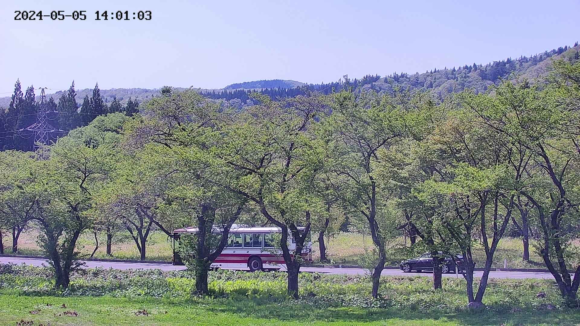 takano4-20240505140104.jpg
