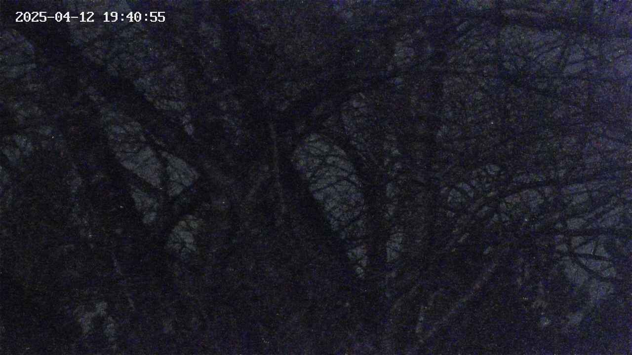 takano4-20250412194056.jpg