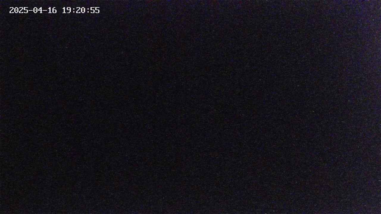 takano4-20250416192056.jpg