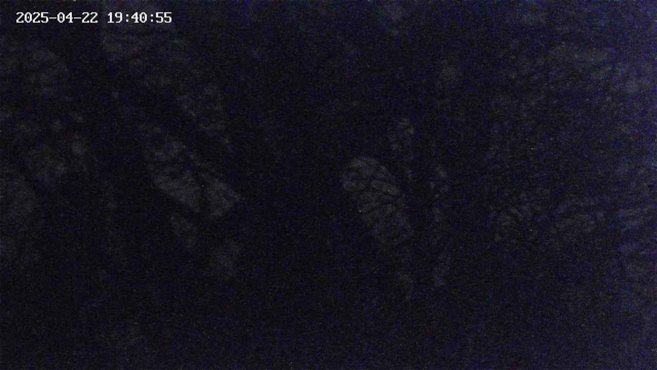 takano4-20250422194056.jpg