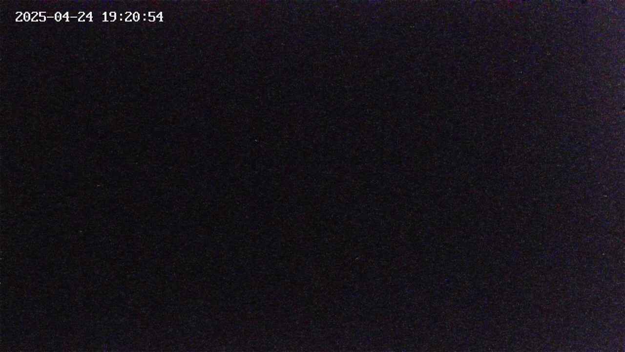 takano4-20250424192054.jpg