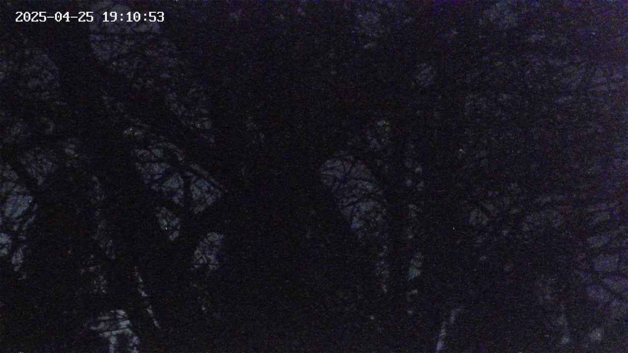 takano4-20250425191054.jpg