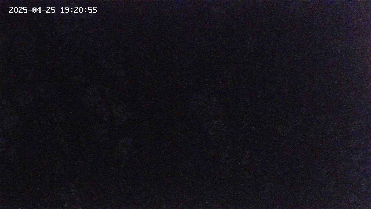 takano4-20250425192055.jpg