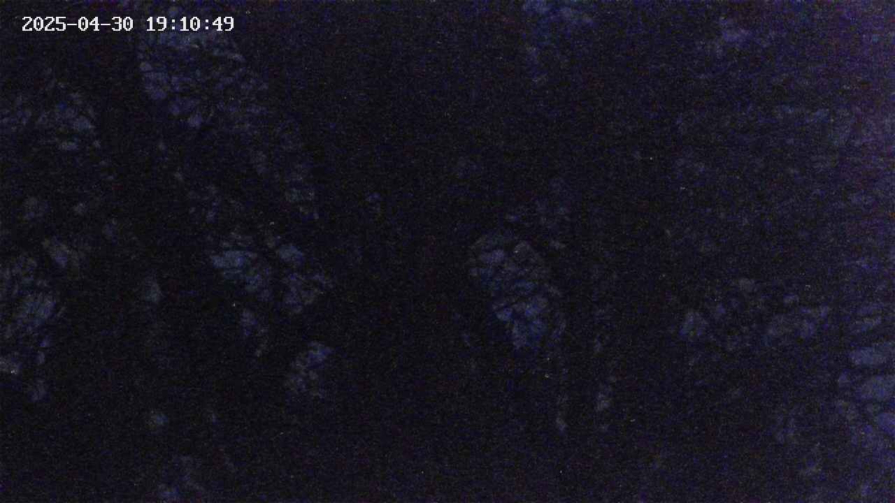 takano4-20250430191055.jpg