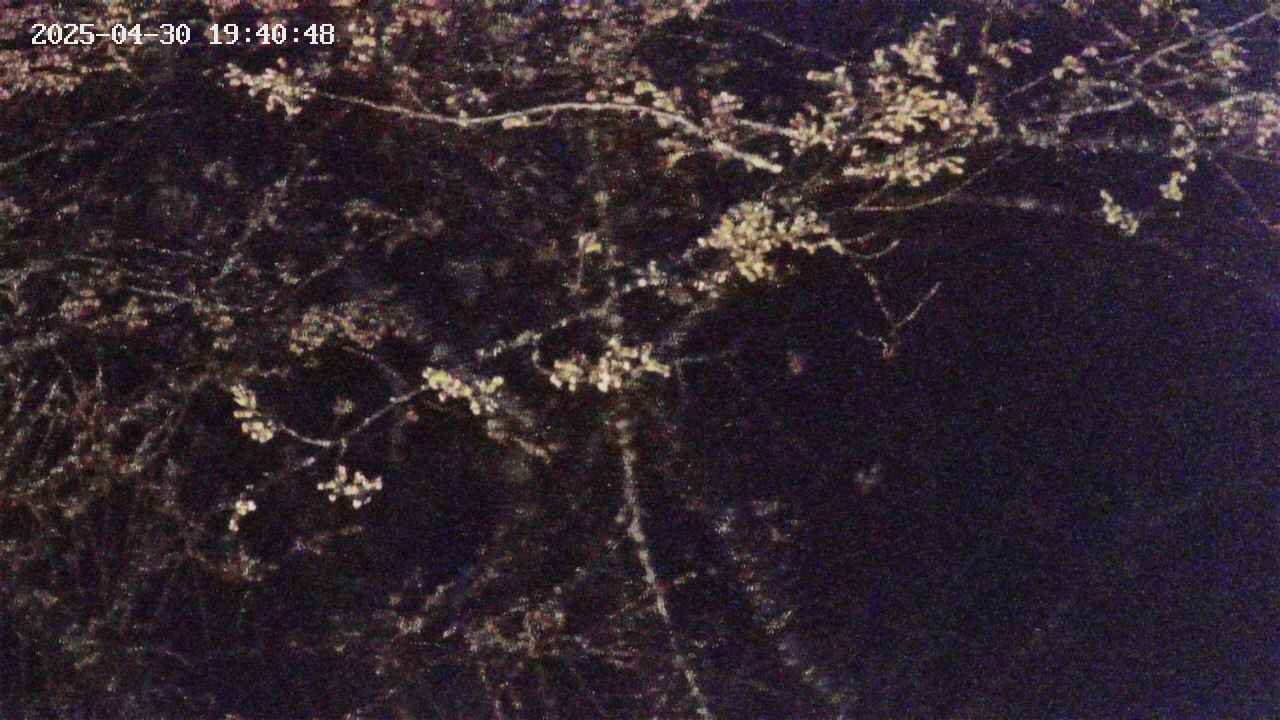 takano4-20250430194055.jpg