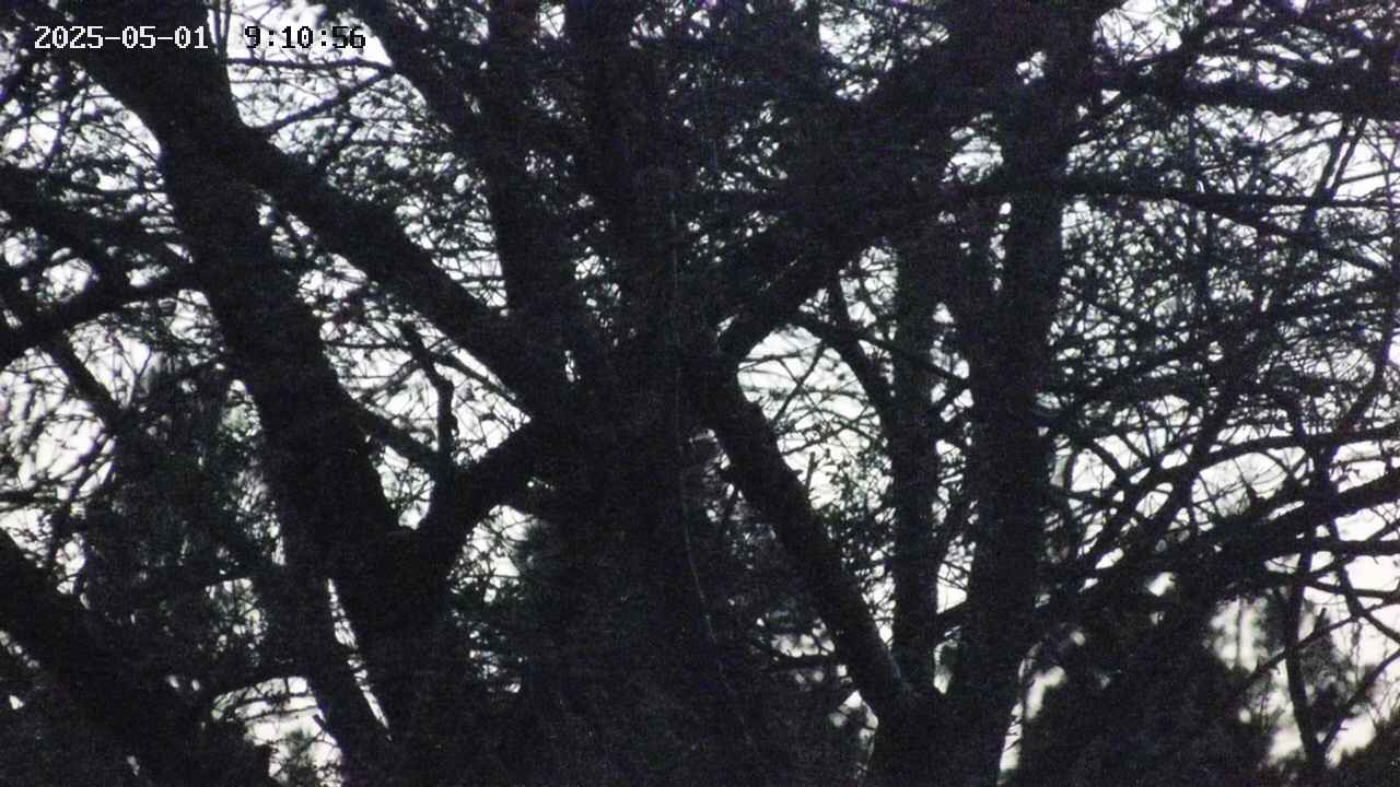 takano4-20250501191057.jpg