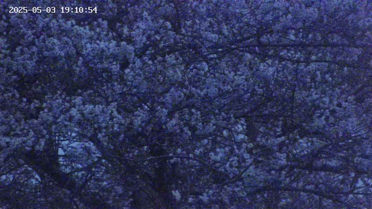 takano4-20250503191055.jpg