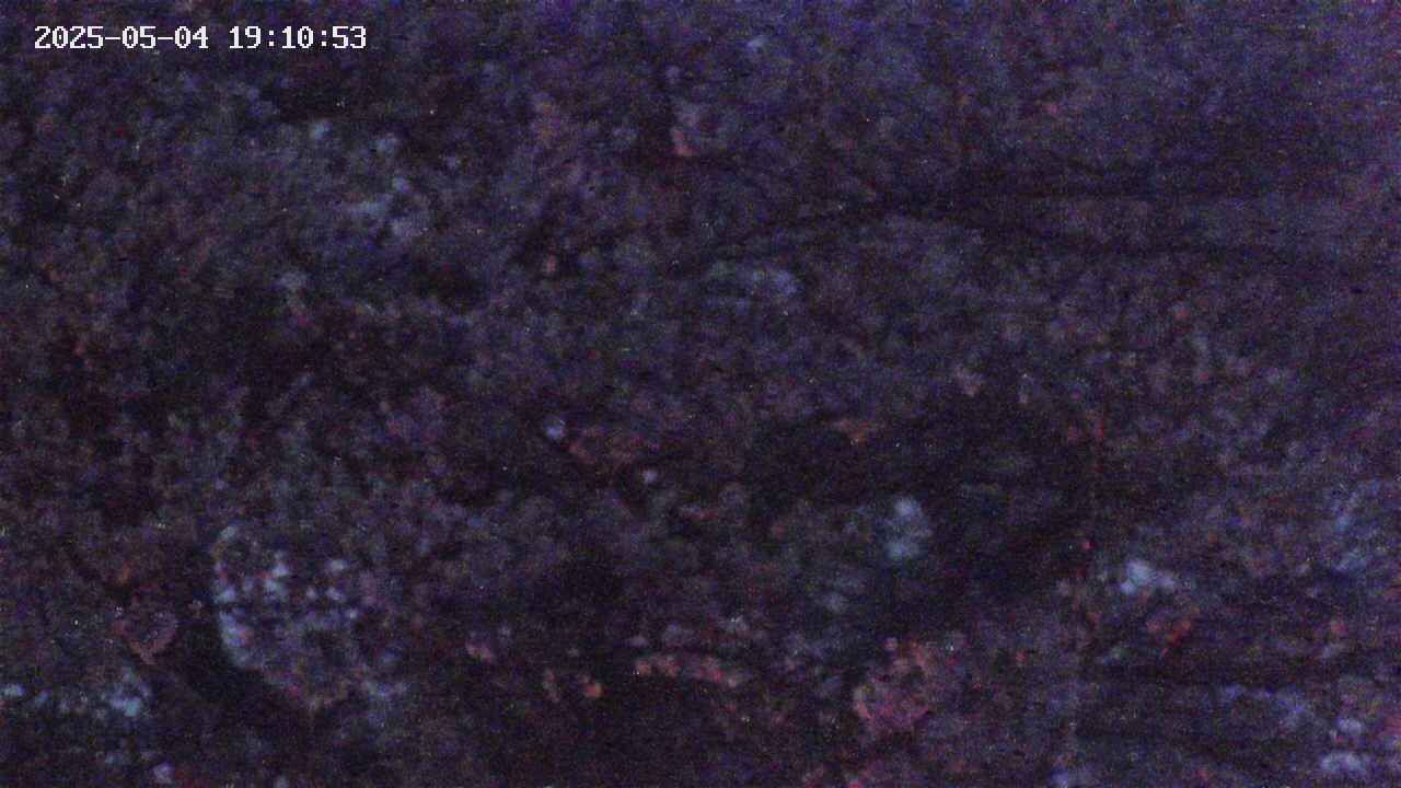 takano4-20250504191054.jpg