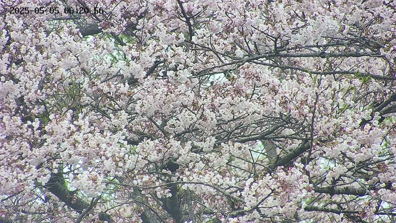 takano4-20250505062057.jpg
