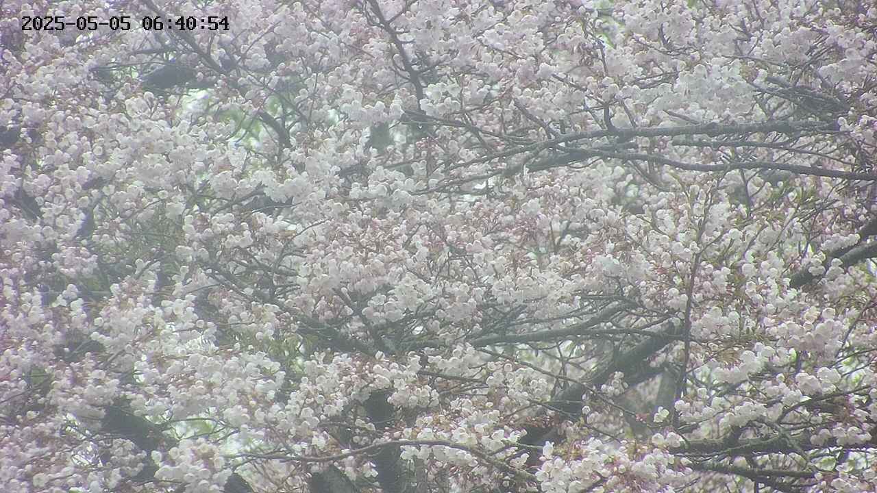 takano4-20250505064055.jpg