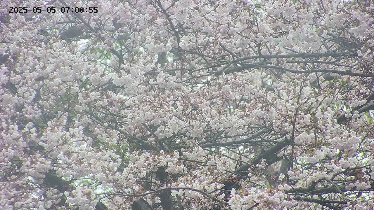 takano4-20250505070056.jpg