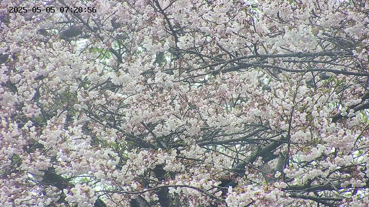 takano4-20250505072057.jpg