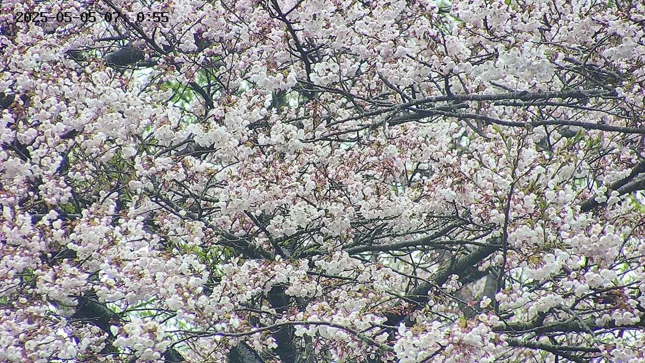 takano4-20250505075057.jpg