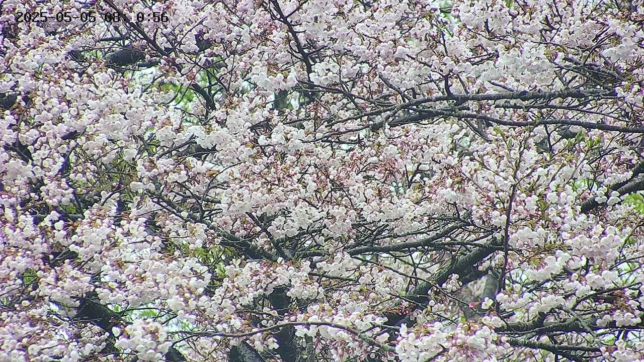 takano4-20250505081057.jpg