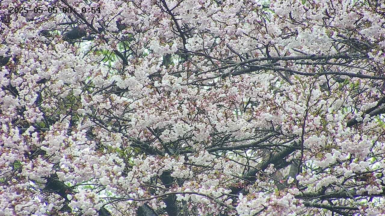 takano4-20250505085056.jpg